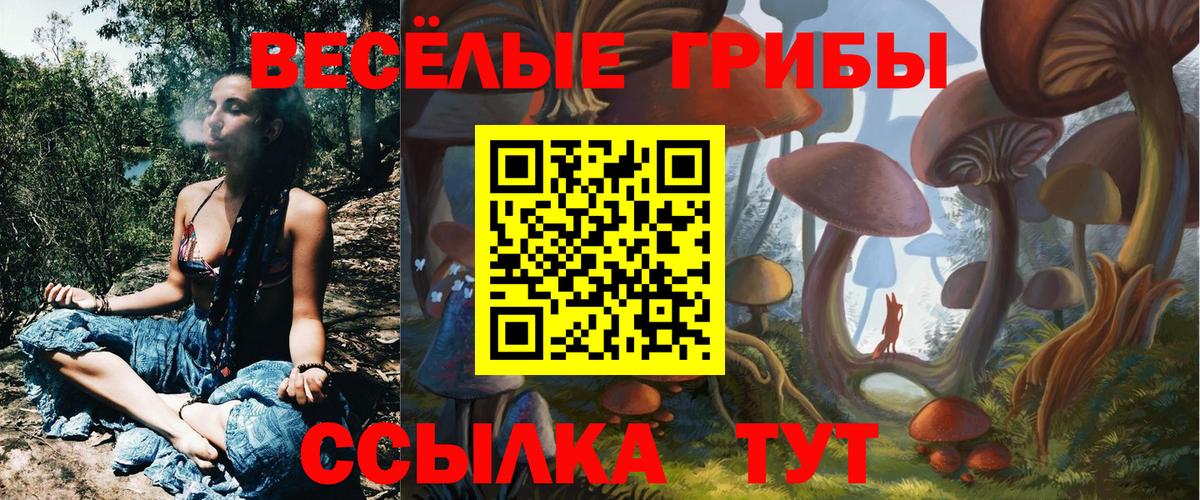 Псилоцибиновые грибы мицелий Губкин