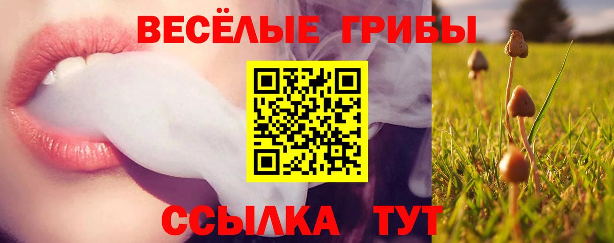 Губкин  Псилоцибиновые грибы прущие грибы  Вход с VPN 