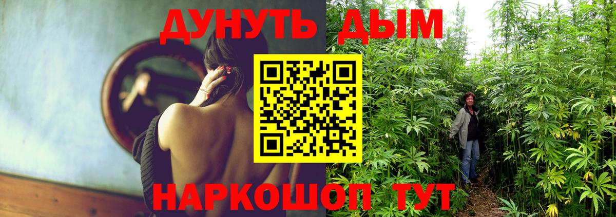 Марихуана семена  Вход с VPN  Конопля гибрид  Каннабис OG Kush  Губкин  Каннабис SATIVA & INDICA 